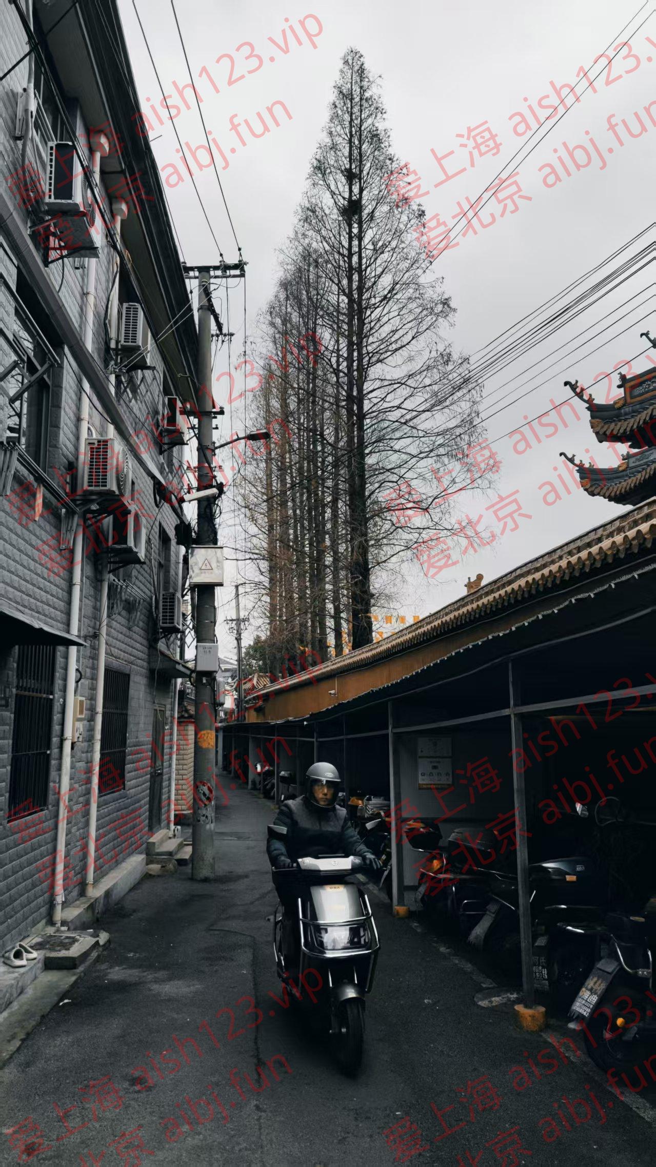 微信图片_20250205134013.jpg