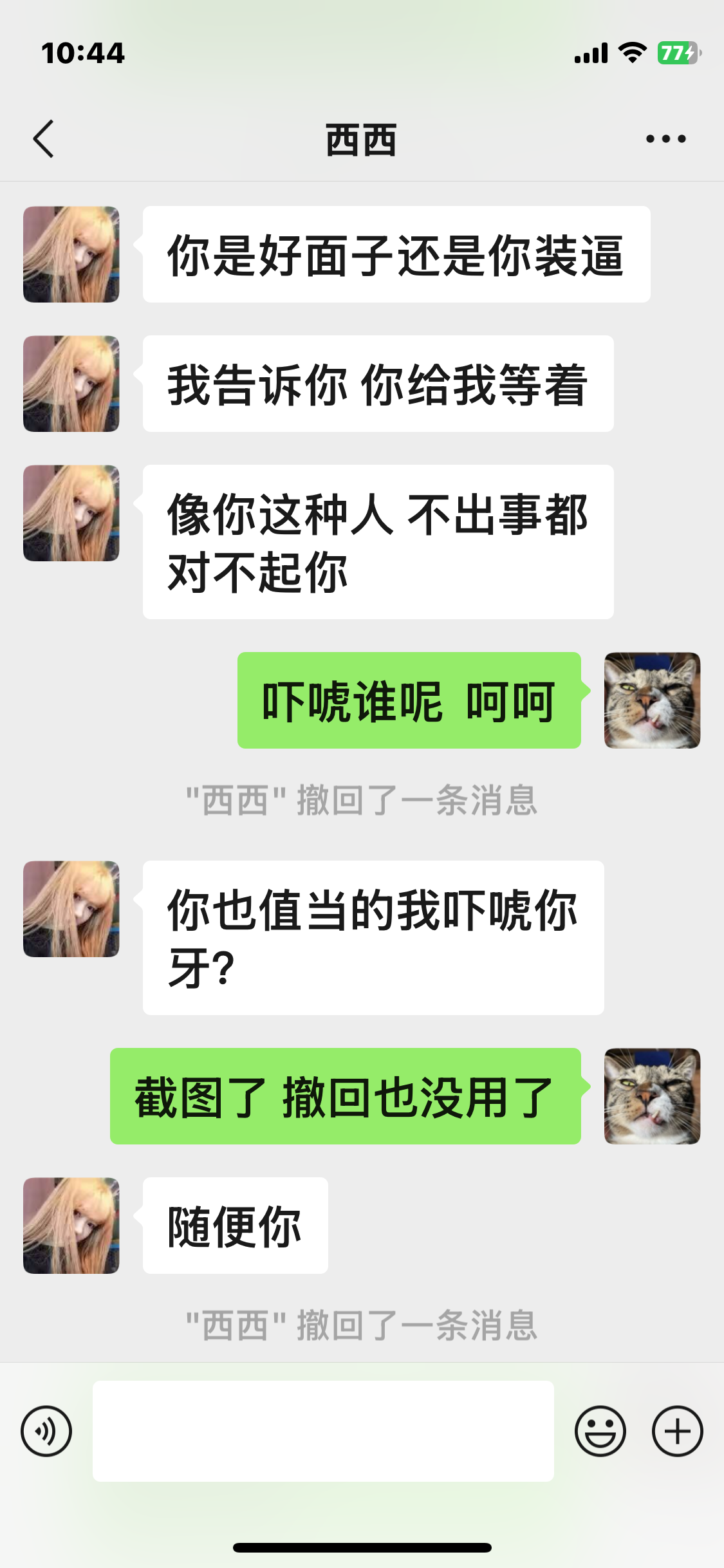 IMG_0633.PNG
